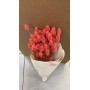 Bouquet Phalaris PC Pink