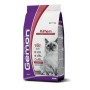 Gemon Gatto Kitten Manzo 2kg