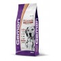Gemon Dog Adult Salmone 15kg