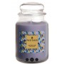 Prince's Candle Giara Media Eclipse Glow 375gr